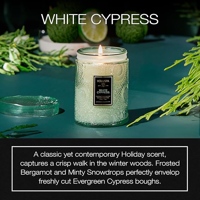 Voluspa White Cypress,Small Candle Jar, 5.5 Ounce,50 Hour Burn Time, & Coconut Wax for Clean Burning,,Handcrafted in the USA