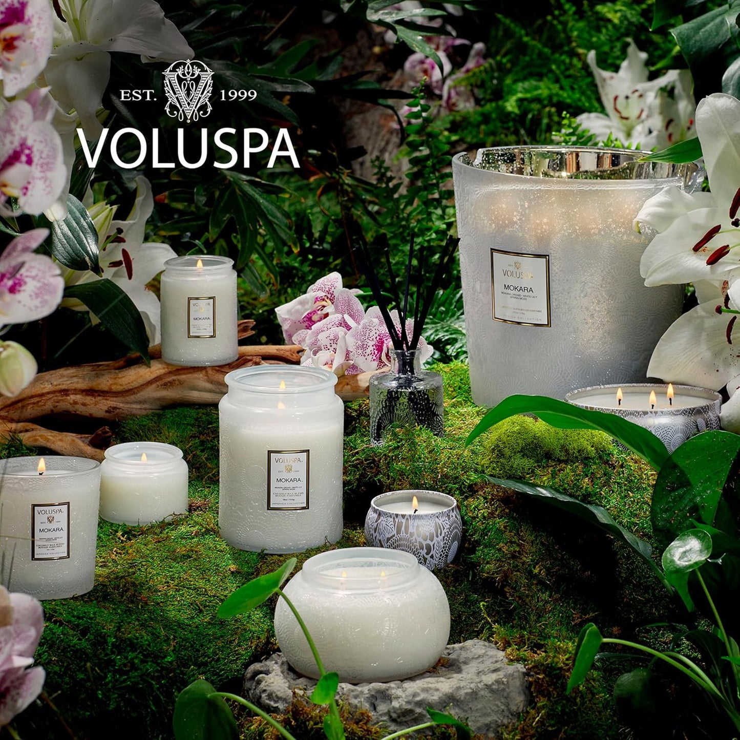 Voluspa Mokara, Small Candle Jar, 5.5 oz, 50 Hour Burn Time, Coconut Wax for Clean Burning, Handcrafted in the USA