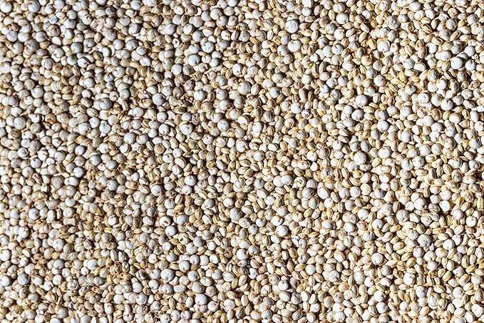 Fresh Organic White Quinoa By RawJoy