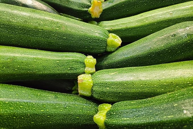 Organic Fresh Zucchini Squash by RawJoy Farms