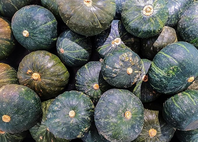 Organic Fresh Kabocha Squash by RawJoy Farms