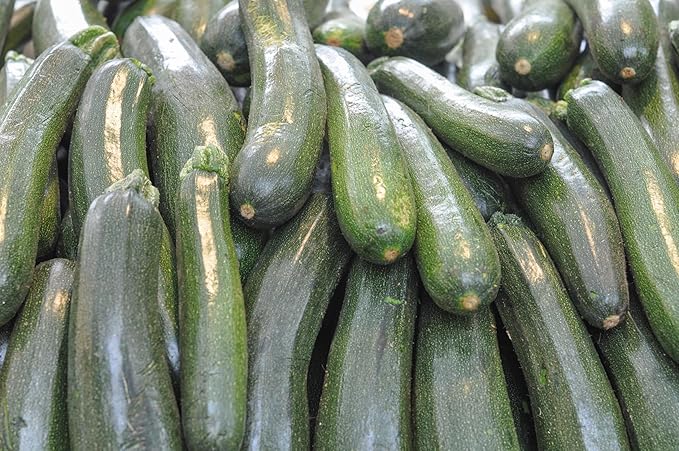 Organic Fresh Zucchini Squash by RawJoy Farms