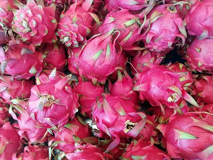 Fresh Sweet Dragon Fruit by RawJoy Farms