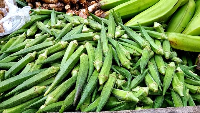 Fresh Green Okra by RawJoy Farms