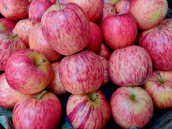 Fresh delicsious Fuji apples by RawJoy Farms