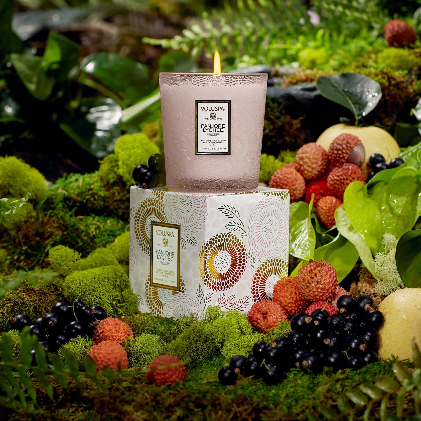 Panjoree Lychee Scalloped Edge/classic candle 9 oz