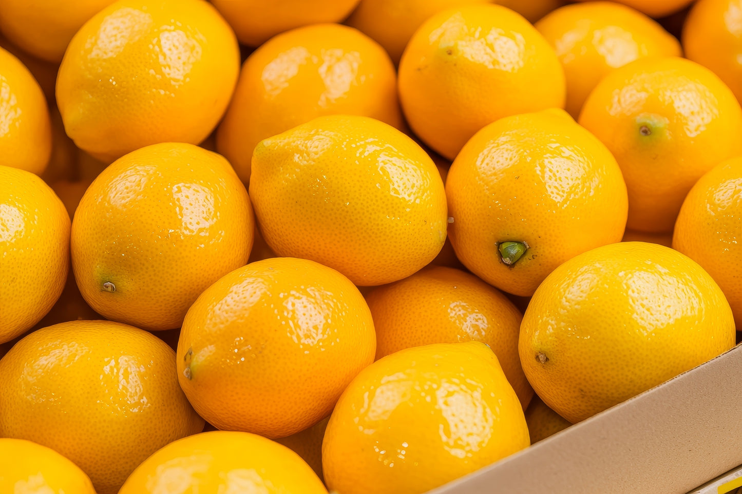 Fresh California Meyer Lemons by RawJoy Farms 2 pounds