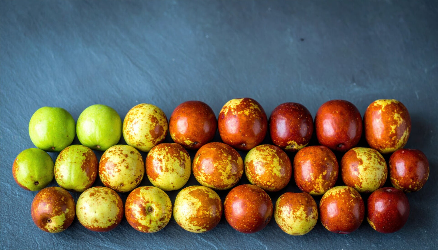 Fresh Organic Jujube Fruit by RawJoy 1 Pound