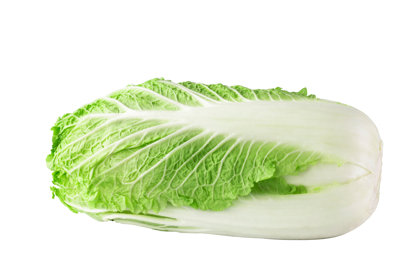 Fresh Organic Napa Cabbage by RawJoy