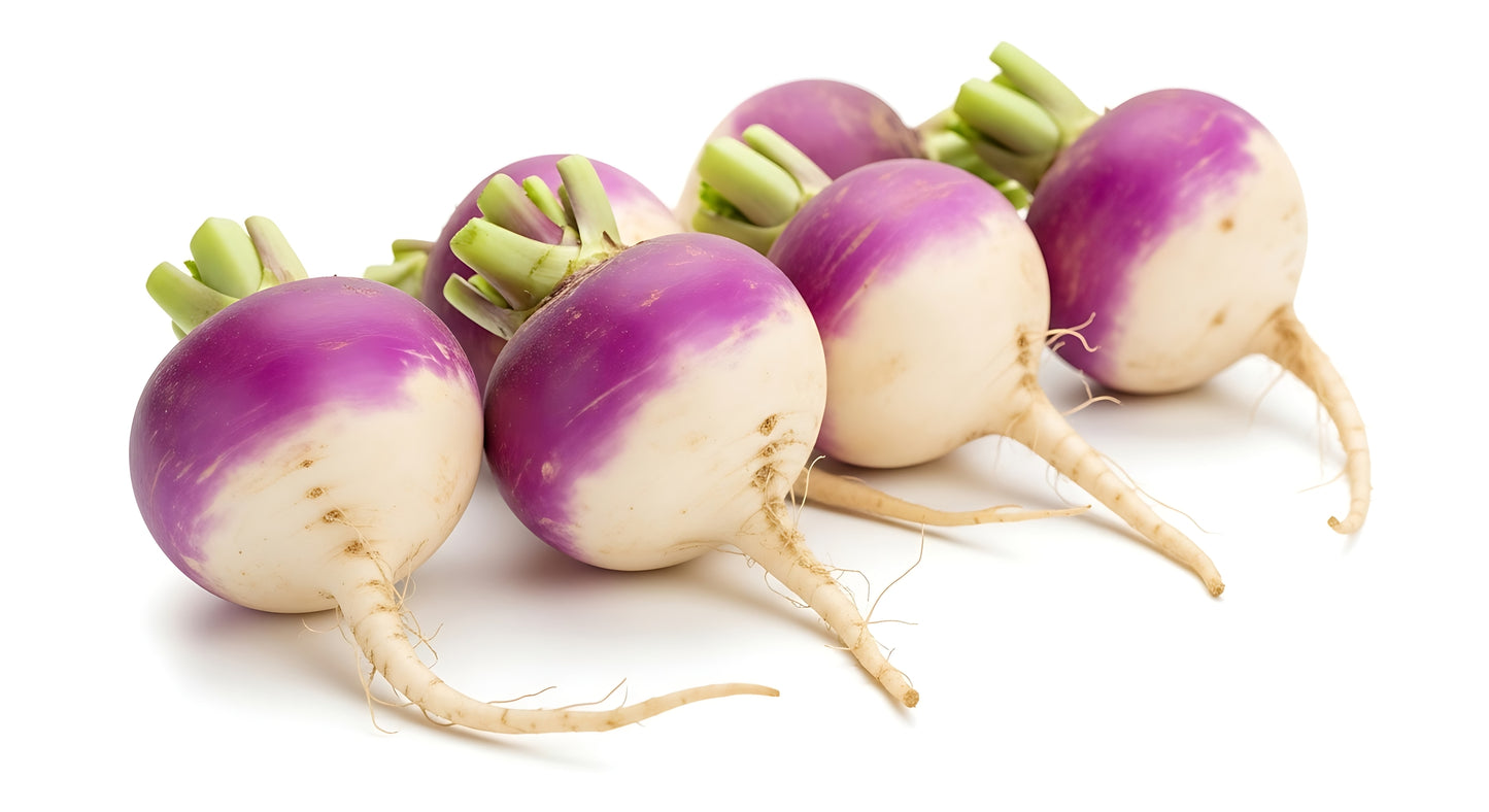 Fresh Organic Baby Turnips by RawJoy 2 Pounds