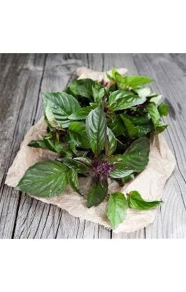 Rawjoy Fresh Thai Basil – Aromatic, Authentic, and Harvested to Order (1 Lb)