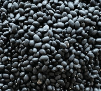 Black Lentils 50 Pounds
