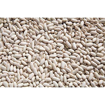 Dry Cannellini Beans 50 lbs
