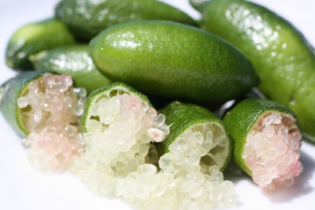 Fresh Finger Limes by RawJoy - 4 Oz