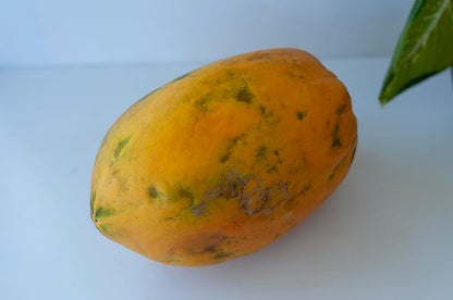 Fresh Delicious Red Papaya by RawJoy Farms