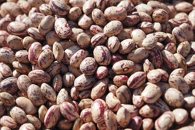 Fresh Organic Dry Canberry Beans By RawJoy