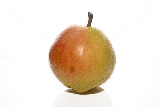 Fresh delicious Colossal Comice Pear by RawJoy Farms