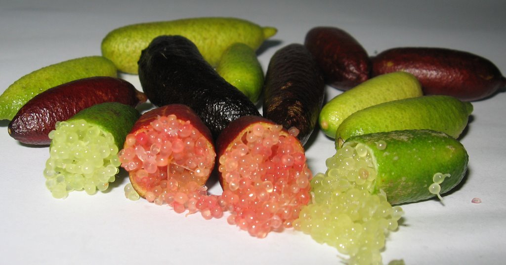 Fresh Finger Limes by RawJoy - 4 Oz
