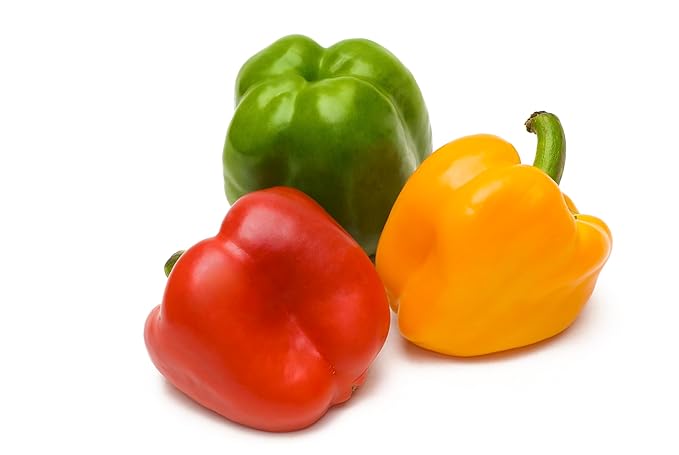 Fresh Organic Rainbow Bell Peppers Red, Yellow, Orange, and Green by RawJoy Farms