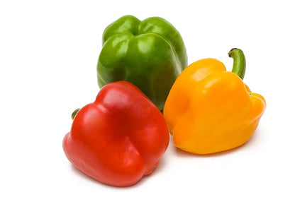 Fresh Organic Rainbow Bell Peppers Red, Yellow, Orange, and Green by RawJoy Farms