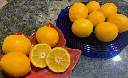 RawJoy Fresh California Meyer Lemons, 5 lbs
