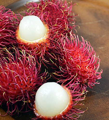 Rawjoy Fresh Rambutan Fruit (5lb)