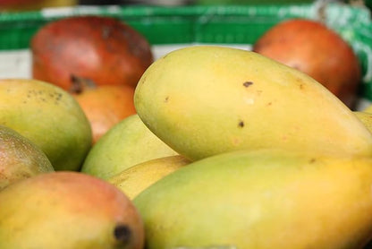 Fresh delicious Ataulfo Mango by RawJoy Farms.