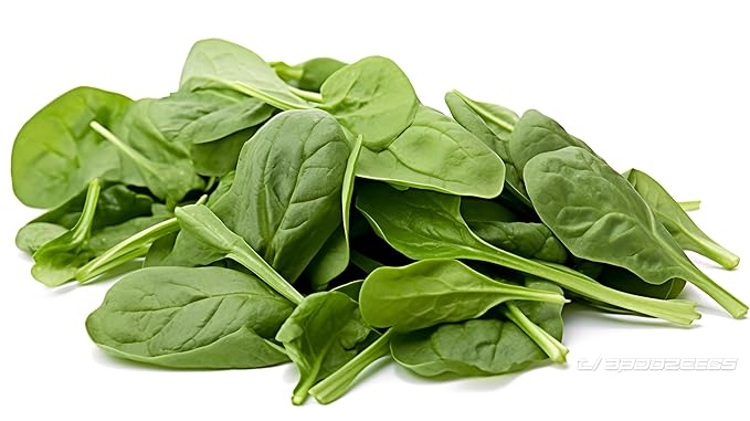 Fresh Spinach Bunch by RawJoy Farms