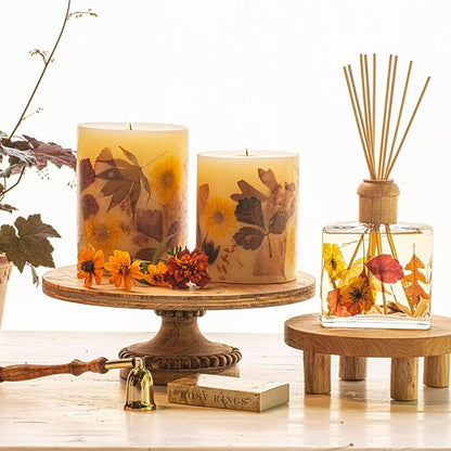 Rosy Rings Pumpkin cardamom Spice 5” candle 120 hrs