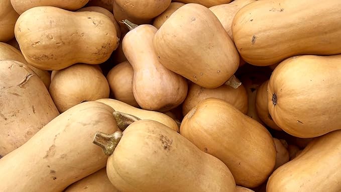 Fresh Butternut Squash by RawJoy Farms