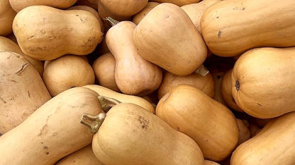 Fresh Butternut Squash by RawJoy Farms