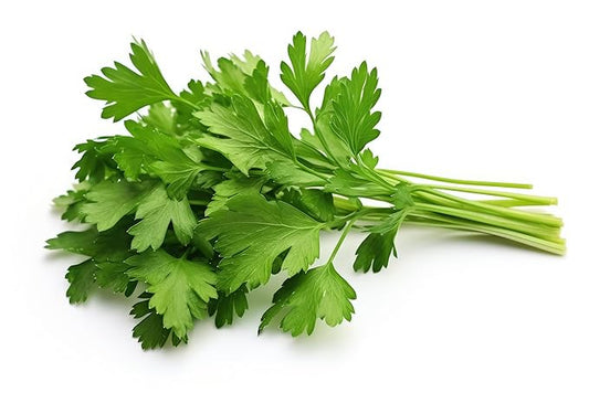 Fresh Green Parsley Bunch by RawJoy Farms