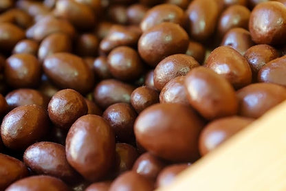 Delicious Chocolate Covered Peanuts By RawJoy