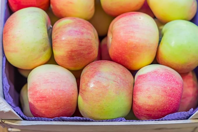 Fresh delicious Gala Apples by RawJoy Farms