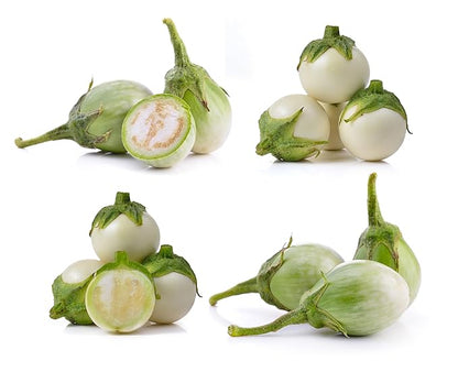 Fresh Baby White Eggplant By RawJoy Farm