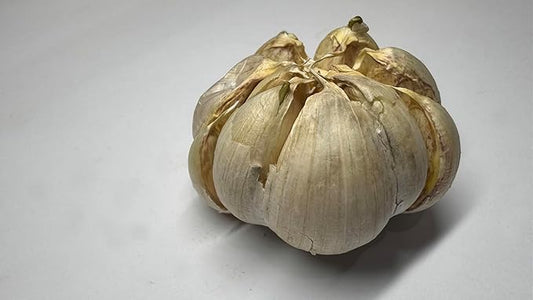 Organic Fresh Elephant Garlic by RawJoy Farms