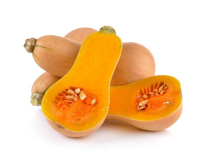 Fresh Butternut Squash by RawJoy Farms