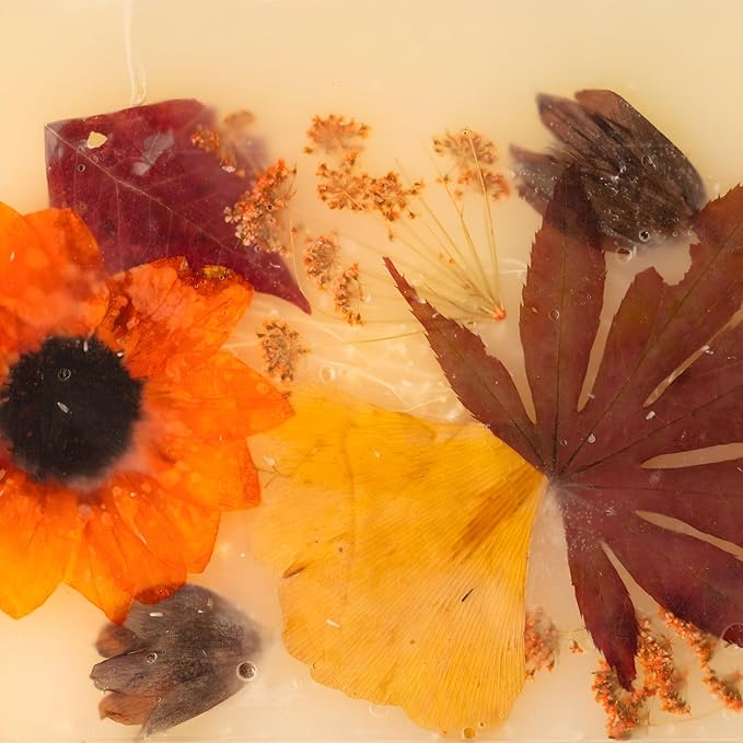 Rosy Rings Pumpkin cardamom Spice 5” candle 120 hrs