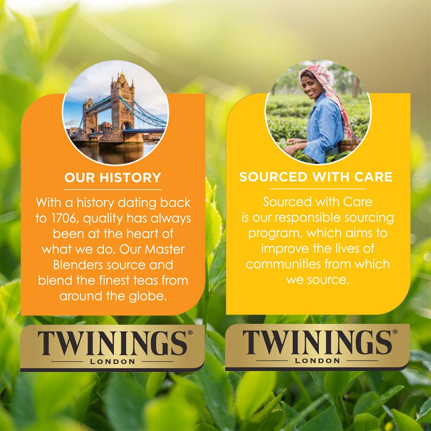 Twinning's Of London Earl Grey Black Tea 20 individual tea bags 1.41OZ ( Pack of 6)