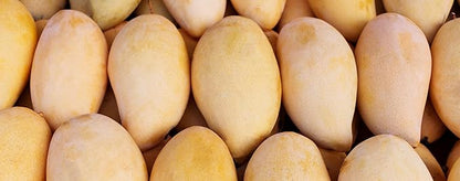 Fresh delicious Champagne Mango by RawJoy Farms