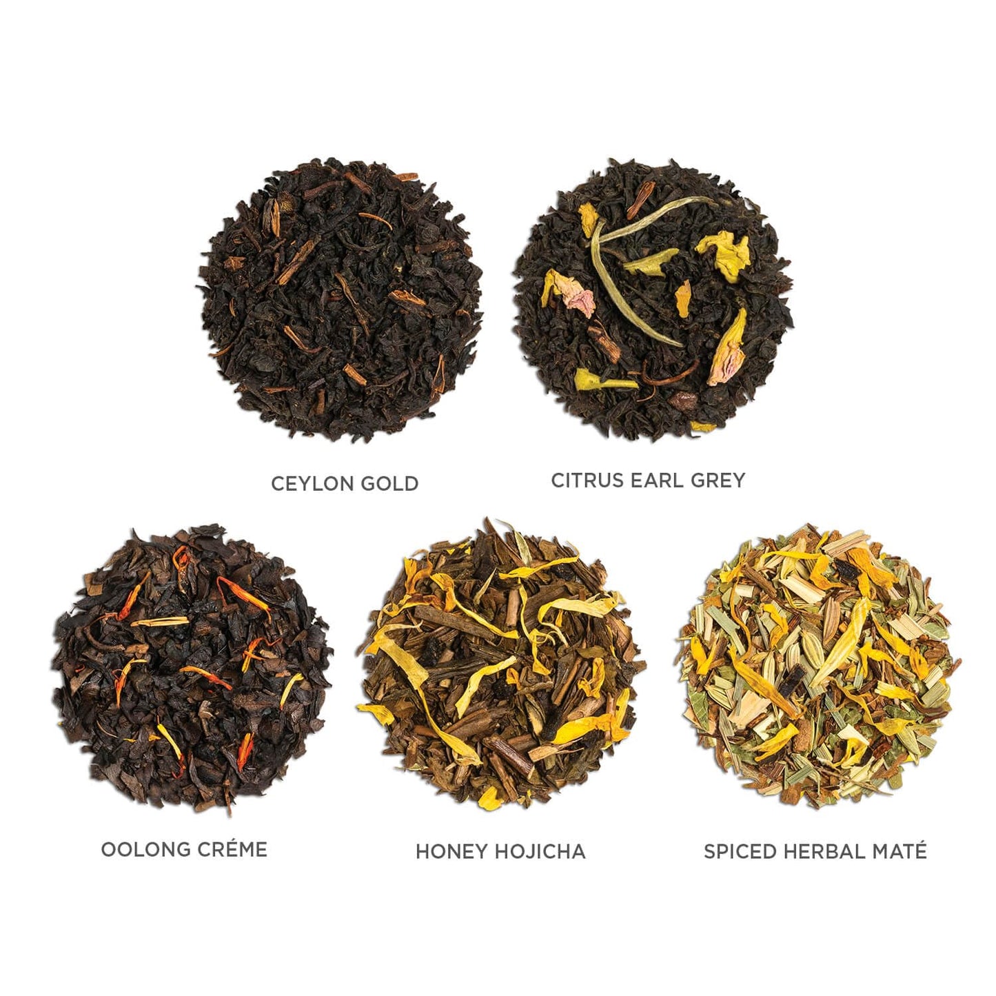 Tea Forte Frank Lloyd Wright Petite Presentation Box Tea Gift Set Sampler, 10 Count, 2 of Each Variety Individually Wrapped Handcrafted Pyramid Infuser Bags