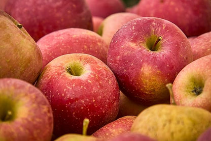 Fresh delicious Gala Apples by RawJoy Farms