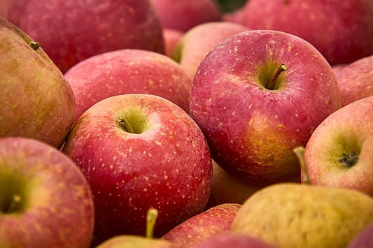 Fresh delicious Macintosh apples by RawJoy Farms