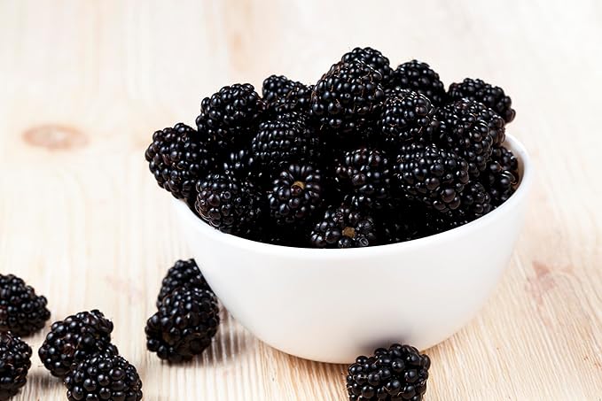 Fresh Delicious Blackberries by RawJoy Farms