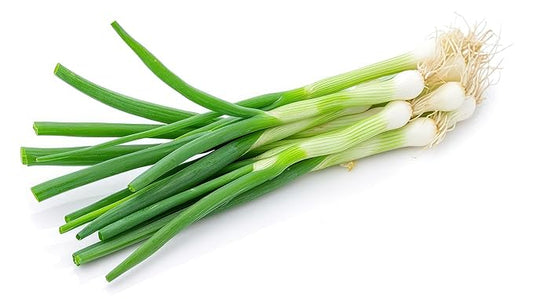 Fresh Green Onions Bunch by RawJoy Farms
