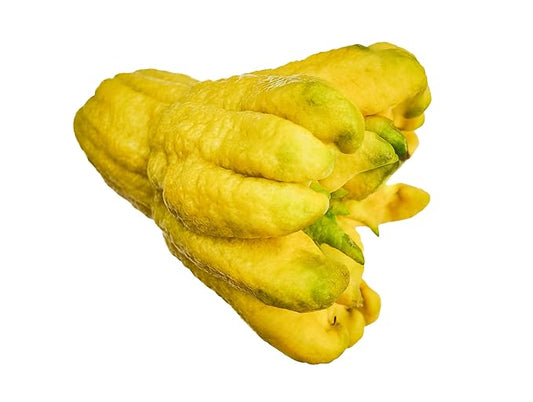 Fresh Yellow Buddha Hand Citrus Fruit By RawJoy Farm