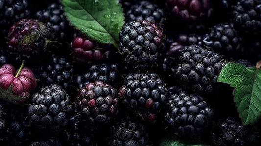 Fresh Delicious Blackberries by RawJoy Farms
