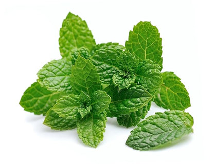 Fresh Mint Leaves by RawJoy Farms