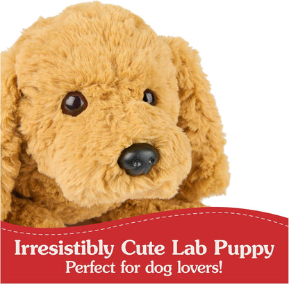 Gund Gryffin Plushie Dog