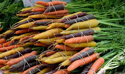Organic Fresh Rainbow Carrots by RawJoy Farms